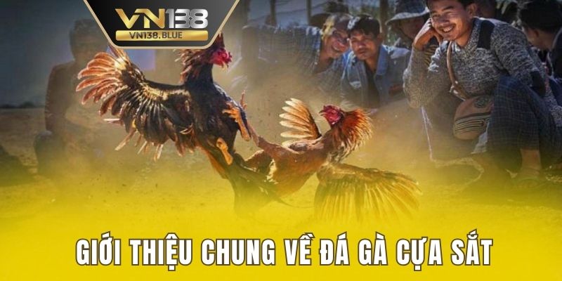 Giới thiệu chung về đá gà cựa sắt tại VN138